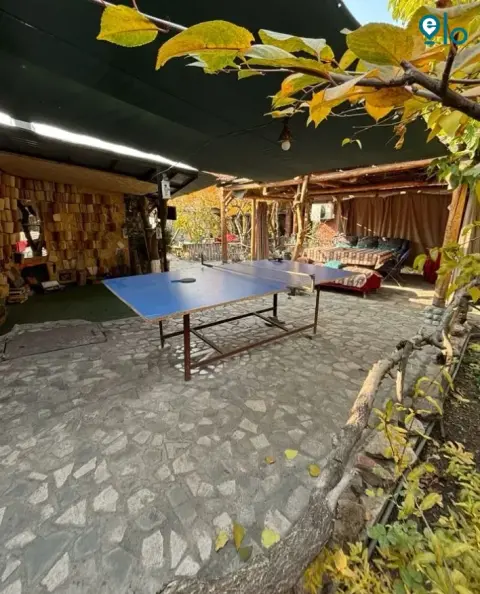 1773050312_003e5198ca1e7426.webp