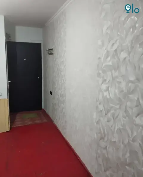 1775269135_81bebc5f9ab9adfc.webp