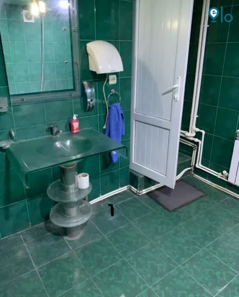 1777730399_a519f2775d4b50e6.webp