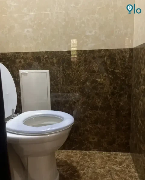 1778530606_ee9386765066d21a.webp