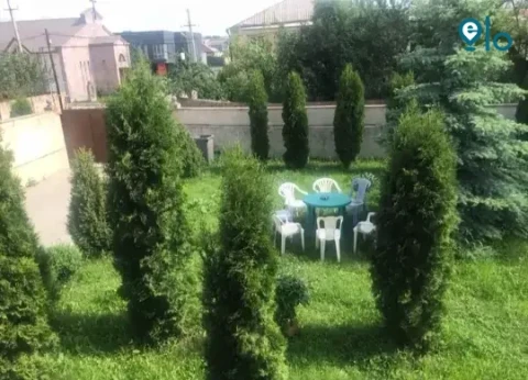 1779774704_d44581a7c7e03e8a.webp