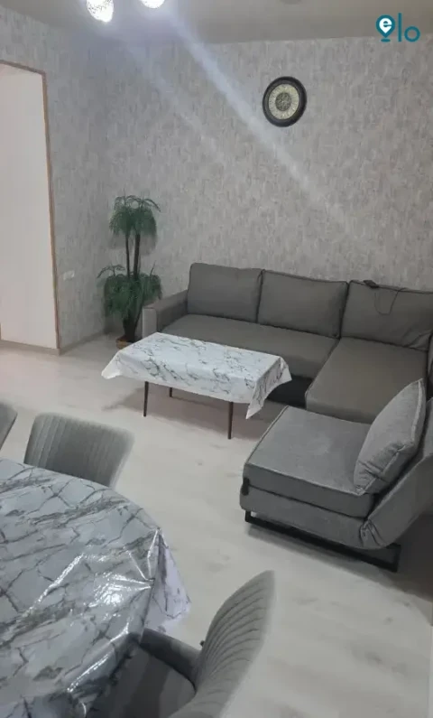 1779775137_d2e00d237f9fdbee.webp