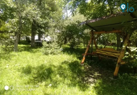 1780022655_c52eec0011e0c50d.webp