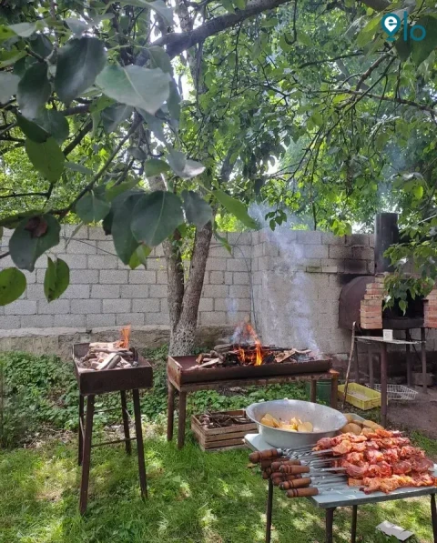 1780022655_d5d192dfb2cf2d28.webp