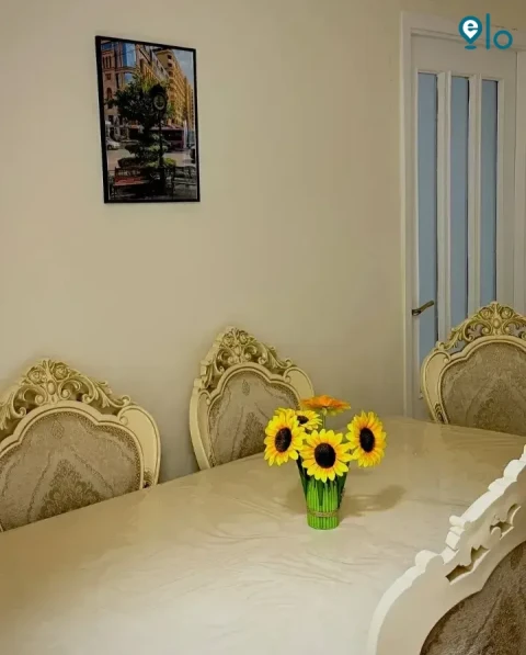 1780341493_67860e282e28f9a7.webp