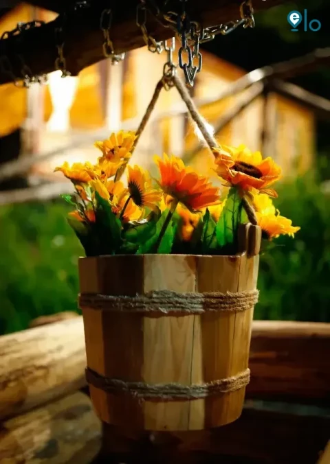 1780503322_0d7bb2f09babc807.webp