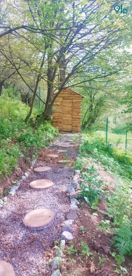 1780503326_a8e12ec7b93bfe58.webp