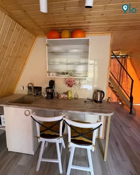 1781042067_0909fc66fb49ae51.webp